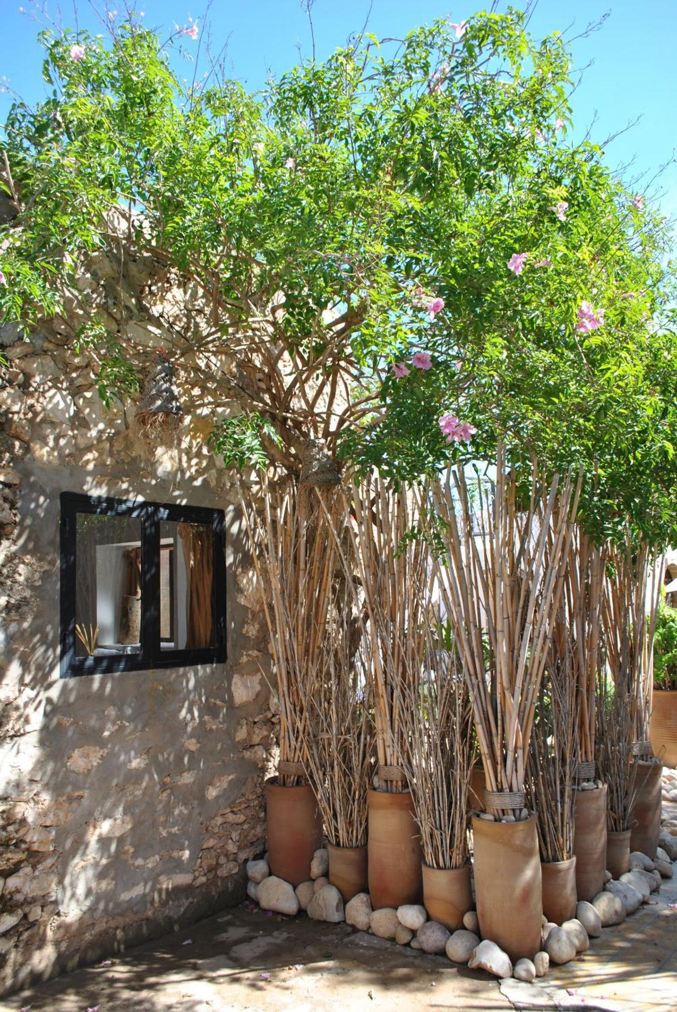 Maison Sidi Et Lalla الصويرة المظهر الخارجي الصورة